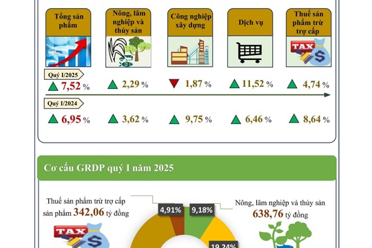 INFOGRAPHIC: KT-XH TỈNH ĐIỆN BIÊN THÁNG 3, QUÝ I NĂM 2025