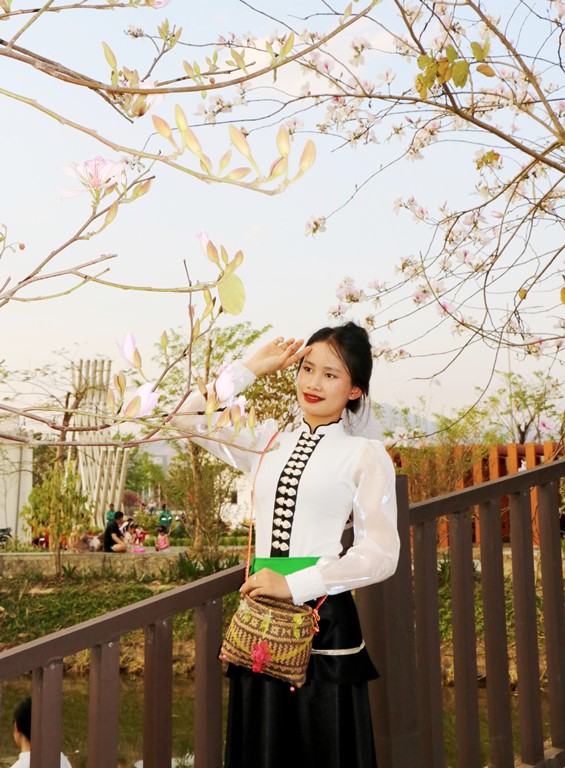 Đến Điện Biên ngắm hoa Ban bung nở trước thềm lễ hội