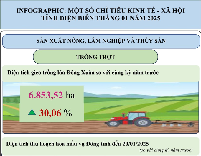 INFOGRAPHIC: KT-XH TỈNH ĐIỆN BIÊN THÁNG 01 NĂM 2025